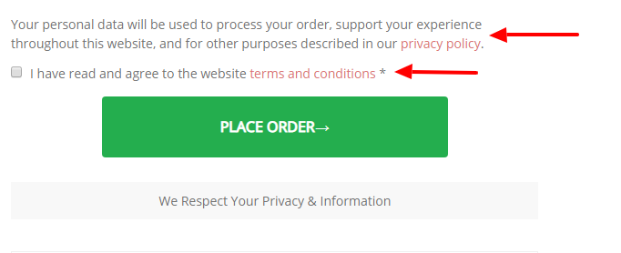 Terms and conditions visible on the checkout page