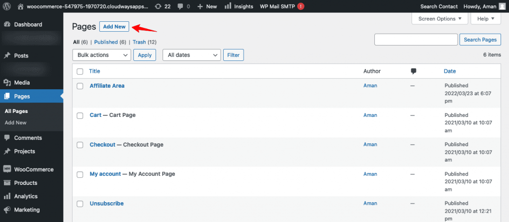Go to Pages on your WordPress menu and click on Add New